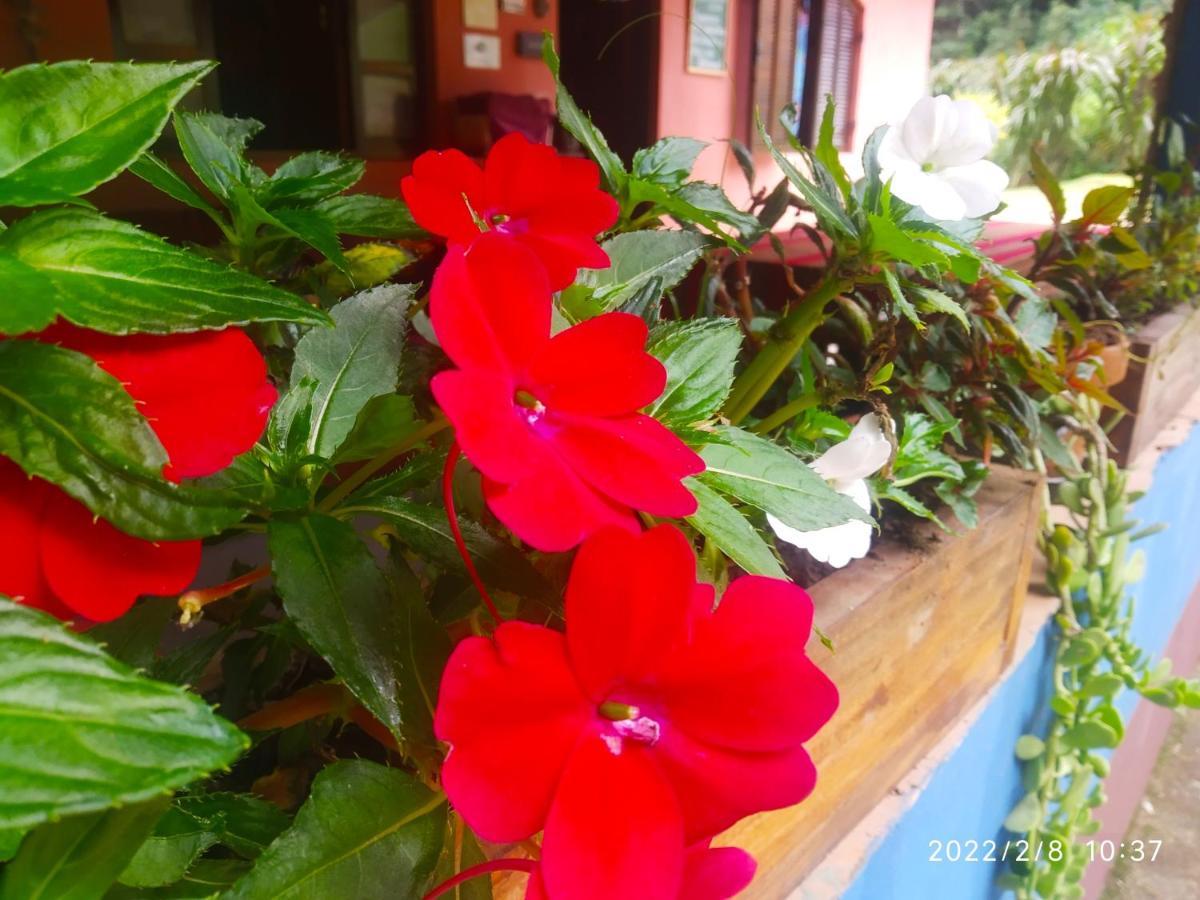 O Brejo Encantado Hospedagem E Hostel Embu Εξωτερικό φωτογραφία