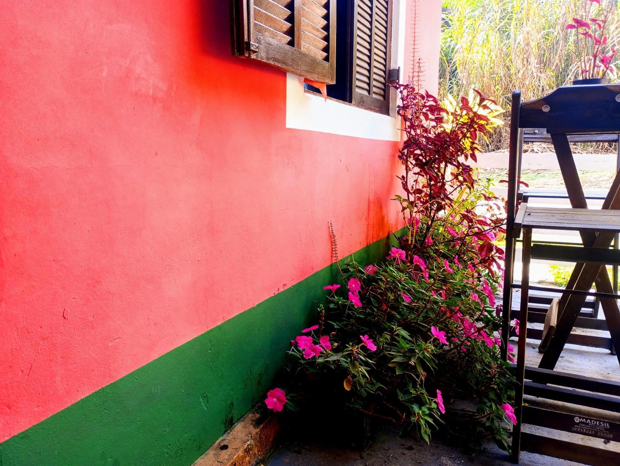 O Brejo Encantado Hospedagem E Hostel Embu Εξωτερικό φωτογραφία